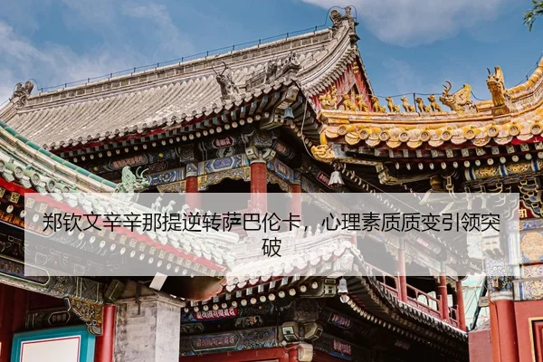 zheng-qin-wen-xin-xin-na-ti-ni-zhuan-sa-ba-lun-ka-xin-li-su-zhi-zhi-bian-yin-ling-tu-po-3-753.jpg