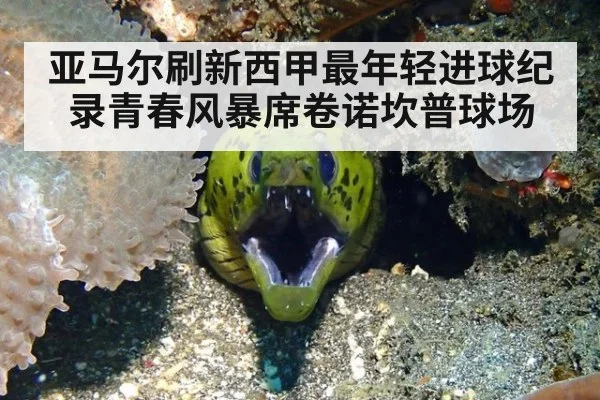 亚马尔刷新西甲最年轻进球纪录青春风暴席卷诺坎普球场