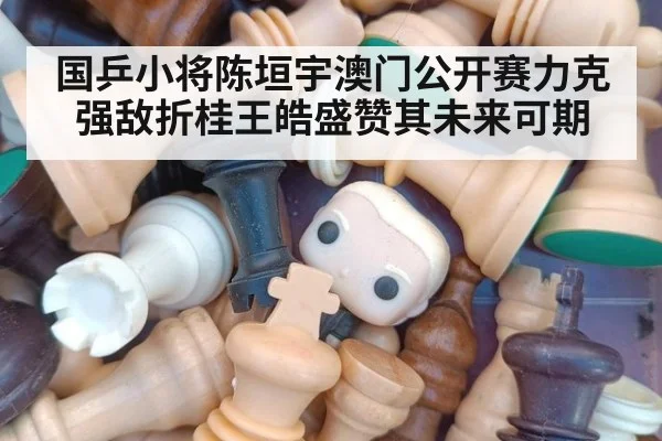 国乒小将陈垣宇澳门公开赛力克强敌折桂王皓盛赞其未来可期